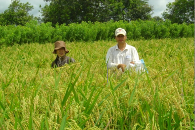 Nhà khoa học có nhiều nghiên cứu giá trị